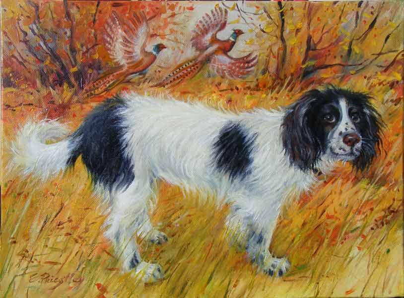 terrier, autumn, pheasants